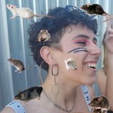 Renata Rattis Pádua Dresch