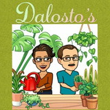 Dalosto's Decor