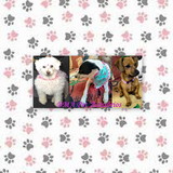 BIBIANA ROSA BRONDANI