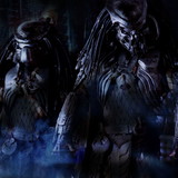 Vinicius Fredes Da Florença