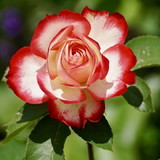 marilene dos santos barbosa