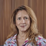 cassia regina vanicola