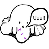 WZV SUBLIMAÇÃO E TRANFER