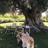 Amanda Süssenbach Pereira