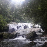 Thiago Techio Minussi