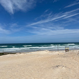 Fernanda Mori de Araujo