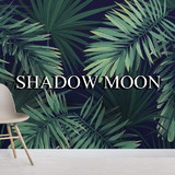 Shadow Moon