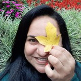 Anaiara Castro Tavares