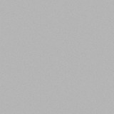 Jussara Nunes da Silva