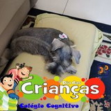 Adriano Moreira Do Carmo