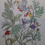 REYNAUD ILUSTRAÇÔES