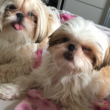 Ana Claudia Ribeiro de Barros