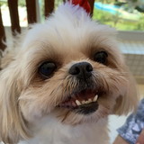 Giovanna Vasconcelos