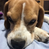 Kauanna Brok Ferreira Pepe