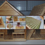 Israel de Souza de Oliveira