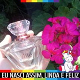 Aline Santos De Freitas Freitas