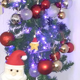 Ariany Pontes Ferreira