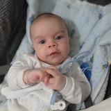 Sara Miranda Cardoso