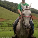 Ronimaradrianideaquino