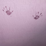 Bruna Carneiro Torres