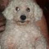 Marília Capri Nascimento