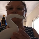 Solange da silva Santos