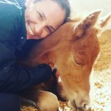 Cibele Ferreira Lima