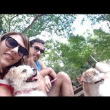 Mariana Soares T. Machado