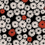 Mayara Cristina Pierini