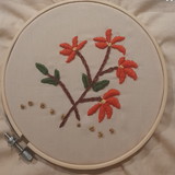 Maria Cristina de Almeida Prado