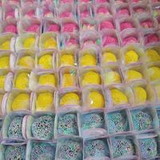 Jessica de Souza cano Domingues