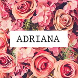 Adriana Domiciano Oliveira