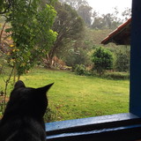 judith rosa de paula