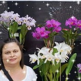 Marli Pereira da Silva