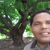 Cícero Vicente Rodrigues