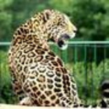 Fernando de Souza Vargas