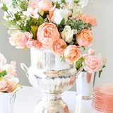 Tereza Cristina Cairo Fassini