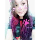 BRENDA FERNANDES CARLINI GONÇALES