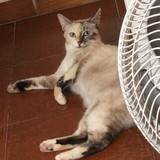 Maria regina Silva mascarenhas