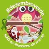 Cintia Carla Ferreira Cruz Cruz