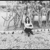 Damiana de Jesus Pereira andrade