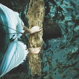 Murilo de Castro Ferreira