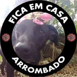 Fernanda Fonseca Fois