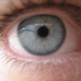 Anna-Lena Menna Barreto