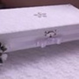 simone nunes matos vulpi