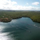 Ricardo Sílvio de Andrade