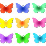 Luciano Fontenele Seixas Seixas