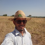 Romulo Moreira Silva