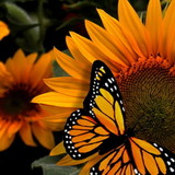 Toque _de_ mãe personalizados