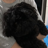 CRISTIANE MARIA DE SOUZA GUGEL